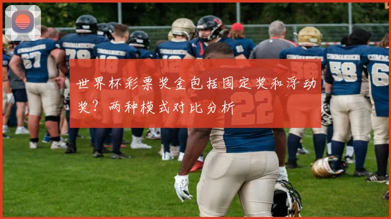 世界杯彩票奖金包括固定奖和浮动奖？两种模式对比分析