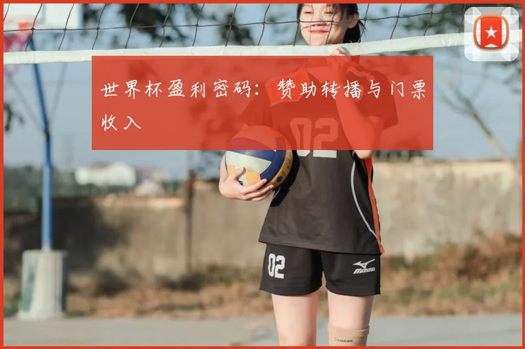 世界杯盈利密码：赞助转播与门票收入