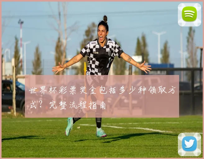 世界杯彩票奖金包括多少种领取方式？完整流程指南