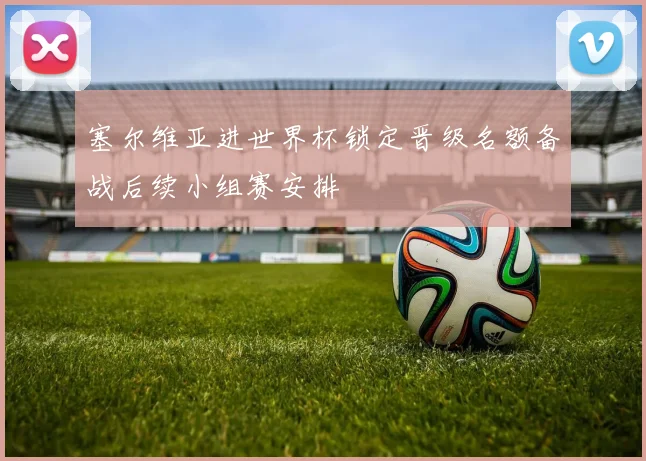 塞尔维亚进世界杯锁定晋级名额备战后续小组赛安排