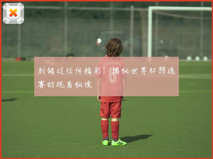 别错过任何精彩！揭秘世界杯预选赛的观看秘境