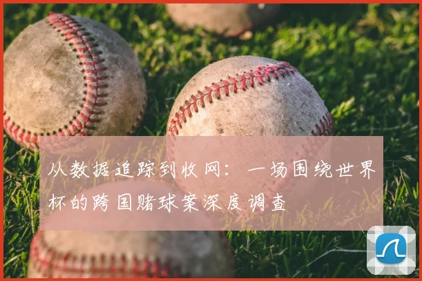 从数据追踪到收网：一场围绕世界杯的跨国赌球案深度调查