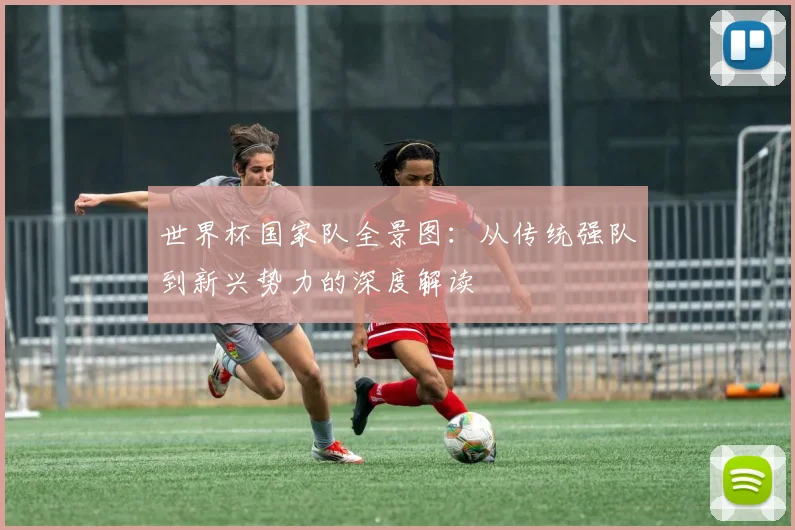 世界杯国家队全景图：从传统强队到新兴势力的深度解读