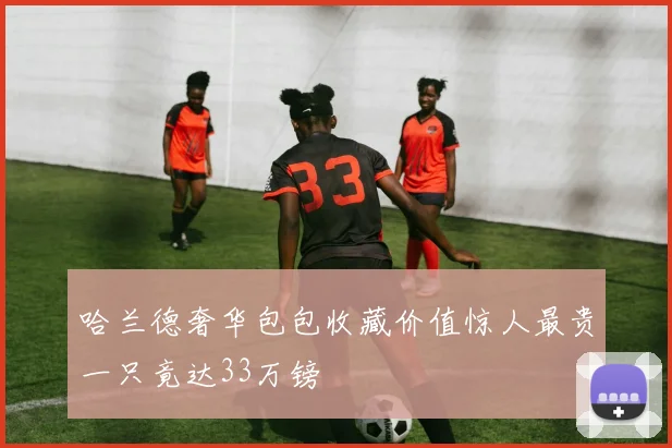 哈兰德奢华包包收藏价值惊人最贵一只竟达33万镑