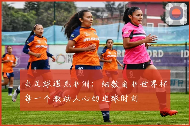 当足球遇见非洲：细数南非世界杯每一个激动人心的进球时刻