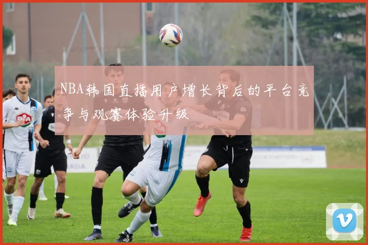 NBA韩国直播用户增长背后的平台竞争与观赛体验升级