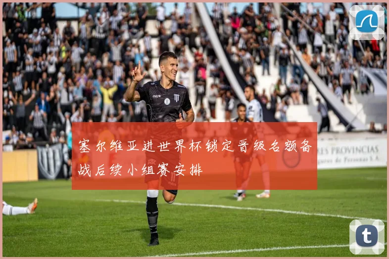 塞尔维亚进世界杯锁定晋级名额备战后续小组赛安排