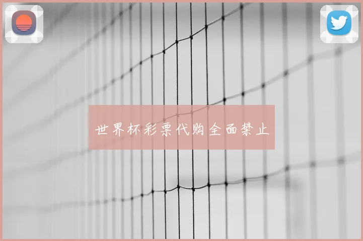 世界杯彩票代购全面禁止