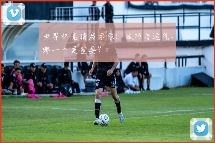 世界杯竞猜启示录:技巧与运气,哪一个更重要?