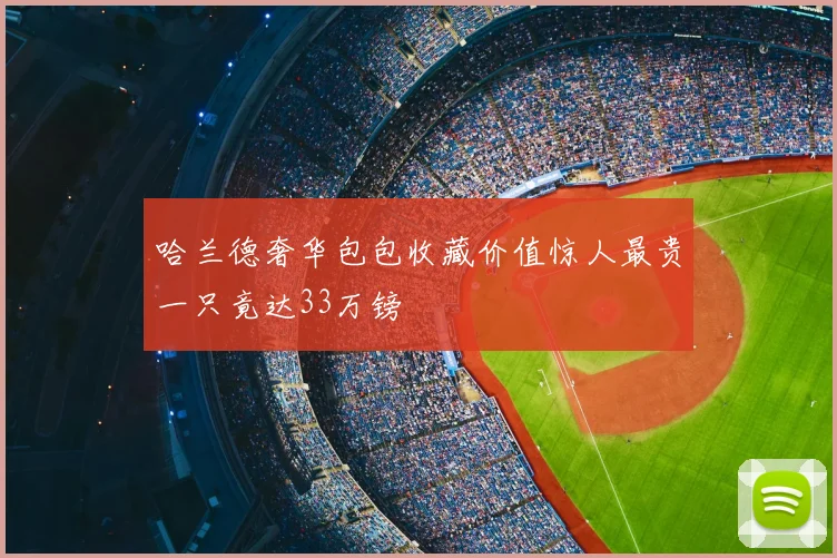 哈兰德奢华包包收藏价值惊人最贵一只竟达33万镑