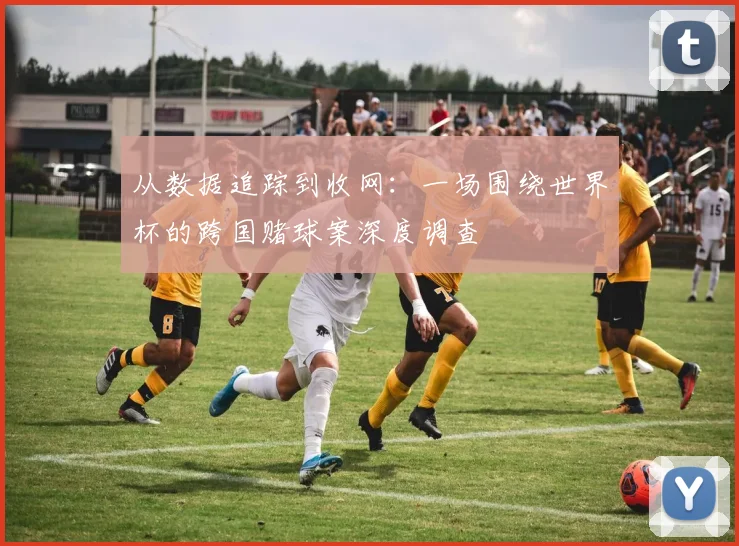 从数据追踪到收网：一场围绕世界杯的跨国赌球案深度调查